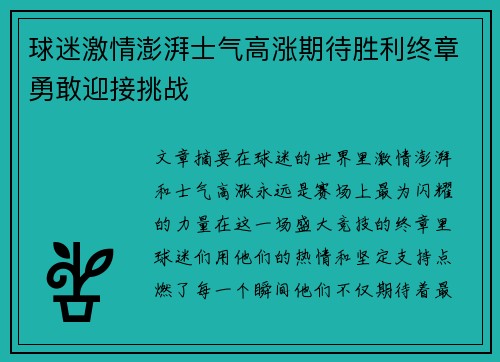 球迷激情澎湃士气高涨期待胜利终章勇敢迎接挑战