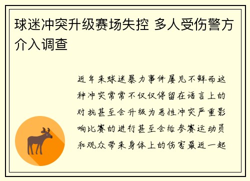 球迷冲突升级赛场失控 多人受伤警方介入调查