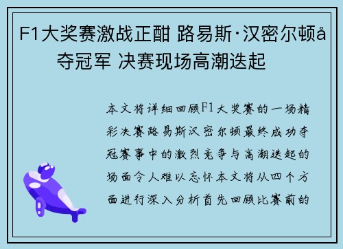 F1大奖赛激战正酣 路易斯·汉密尔顿勇夺冠军 决赛现场高潮迭起