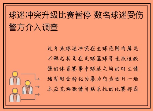 球迷冲突升级比赛暂停 数名球迷受伤警方介入调查